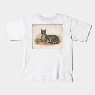 Cattus Domesticus. Vintage print edited for maximum sass. Kids T-Shirt